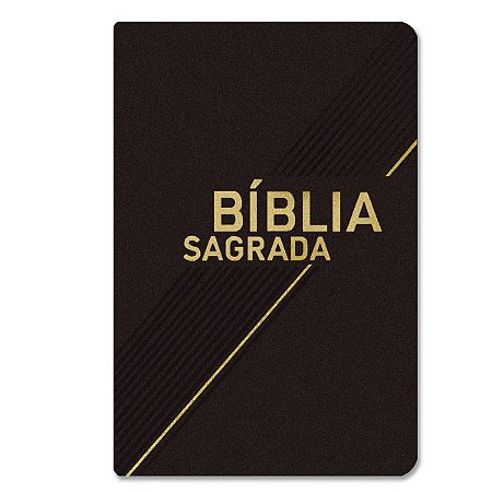 BÍBLIA NVI Letra Grande CAPA LUXO VINHO