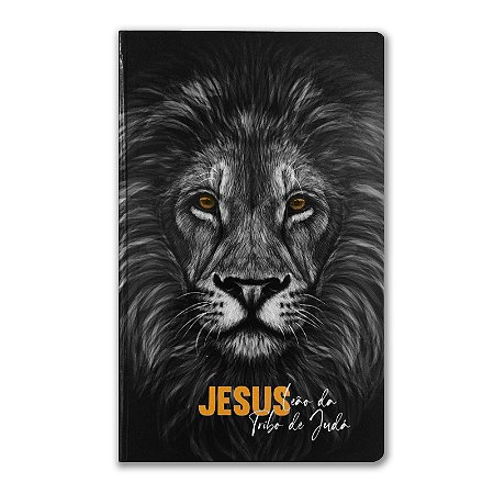 BÍBLIA NVT Letra normal CAPA DURA FORTE E CORAJOSO