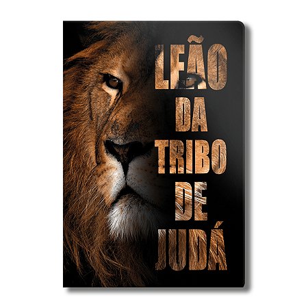 BÍBLIA NVT SEMI LUXO Letra grande CAMINHO DA SALVAÇÃO palavras de Jesus em vermelho