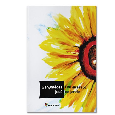 UM GIRASSOL NA JANELA