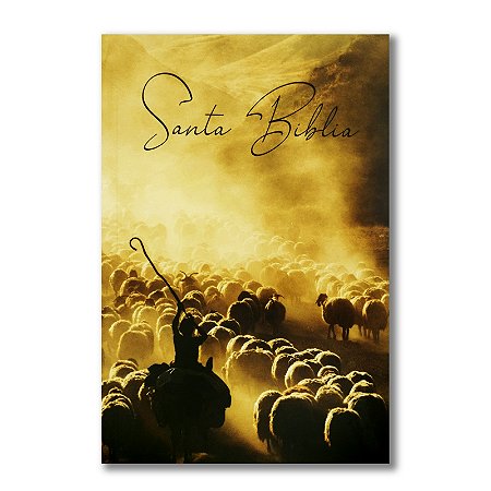 SANTA BIBLIA - BÍBLIA EM ESPANHOL RVR60 PASTOR CONCORDÂNCIA CAPA BROCHURA RÚSTICA ILUSTRADA