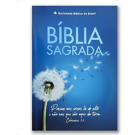 BÍBLIA NTLH60 MISSIONÁRIA - brochura capa azul