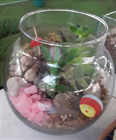 Terrário de plantas em vidro