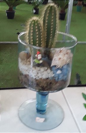 Terrário de plantas em vidro