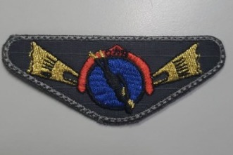 BREVE MERGULHO ( BORDADO )