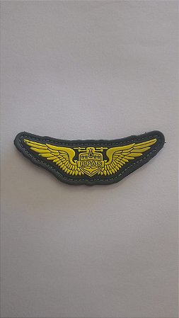 BREVE RPAS EMBORRACHADO (POLÍCIA MILITAR)