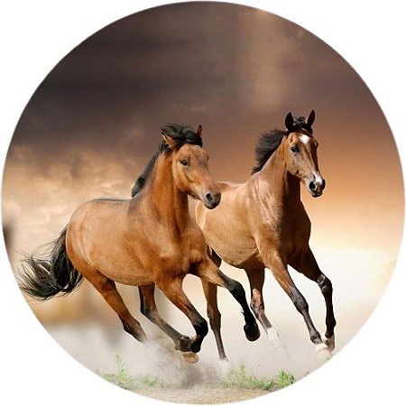Painel Redondo Tecido Sublimado 3D Cavalo Country WRD-3329
