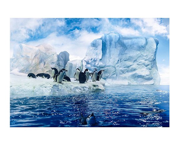 Fundo fotográfico Tecido Sublimado Newborn 3D Inverno Pinguins 2,20x1,50 WFF-738