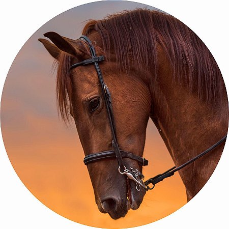 Painel Redondo Tecido Sublimado 3D Cavalos Country WRD-4833