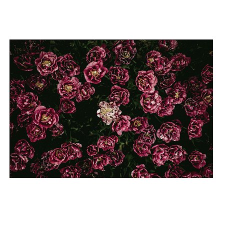 Fundo Fotográfico Tecido Sublimado Newborn 3D Dia das Mães Floral 2,60x1,70 WFM-481