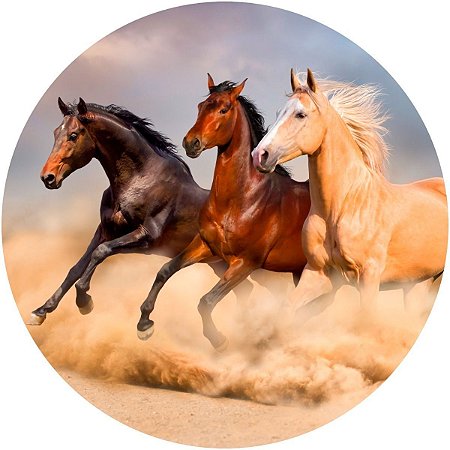 Painel Redondo Tecido Sublimado 3D Cavalos Country WRD-5869