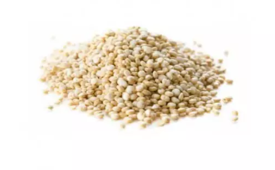 QUINOA EM GRÃOS