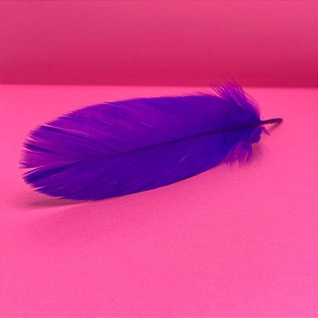 100 Penas de Cegonha Macio - Tam : 15-20cm - Pluma De Cisne Natural Cor:ROXO