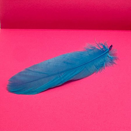 100 Penas de Cegonha Macio - Tam : 15-20cm - Pluma De Cisne Natural Cor:AZUL-TURQUESA