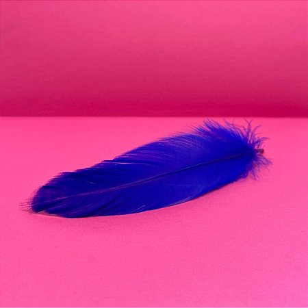 100 Penas de Cegonha Macio - Tam : 15-20cm - Pluma De Cisne Natural Cor:AZUL-ROYAL