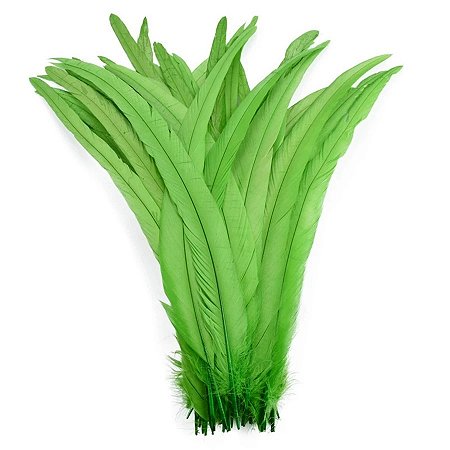 Pena Calda Rabo de Galo Pluma - Pct c/100 unid. - Tam: 25-30cm Cor:VERDE-LIMAO-225