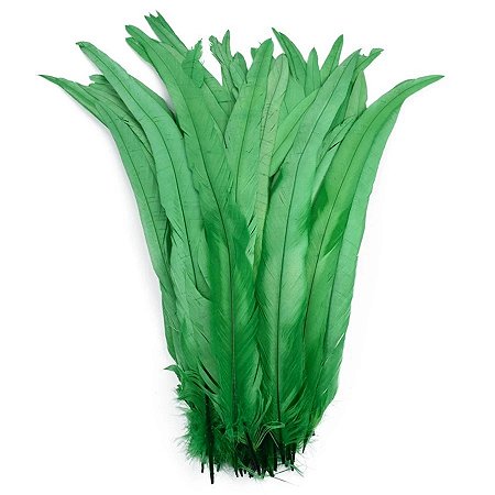 Pena Calda Rabo de Galo Pluma - Pct c/100 unid. - Tam: 25-30cm Cor:VERDE-BANDEIRA-540