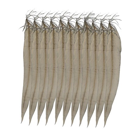 Pena Calda Rabo de Galo Pluma - Pct c/100 unid. - Tam: 25-30cm Cor:BEGE-297