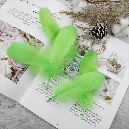 100 Penas de Ganso Macio - Tam : 13-18cm - Pluma De Cisne Natural Cor:VERDE-LIMAO