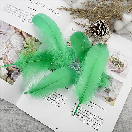 100 Penas de Ganso Macio - Tam : 13-18cm - Pluma De Cisne Natural Cor:VERDE-BANDEIRA