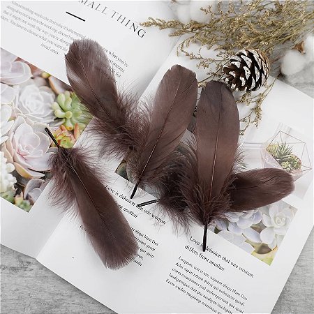 100 Penas de Ganso Macio - Tam : 13-18cm - Pluma De Cisne Natural Cor:MARROM-ESCURO