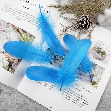 100 Penas de Ganso Macio - Tam : 13-18cm - Pluma De Cisne Natural Cor:AZUL-TURQUESA