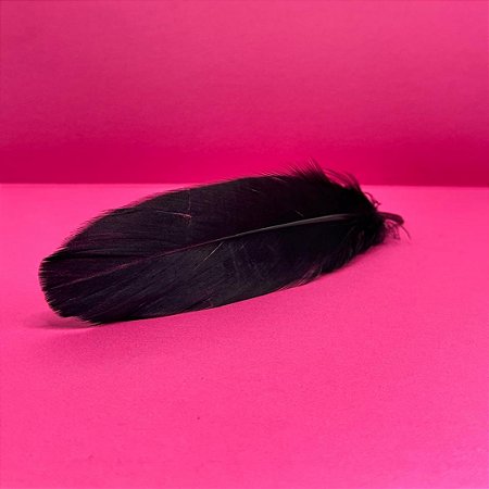 100 Penas de Cegonha Macio - Tam : 15-20cm - Pluma De Cisne Natural Cor:PRETO