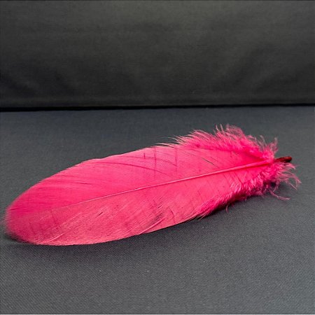 100 Penas de Cegonha Macio - Tam : 15-20cm - Pluma De Cisne Natural Cor:PINK