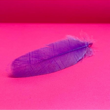 100 Penas de Cegonha Macio - Tam : 15-20cm - Pluma De Cisne Natural Cor:LILAS