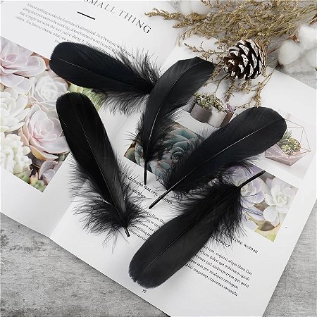 100 Penas de Ganso Macio - Tam : 13-18cm - Pluma De Cisne Natural Cor:PRETO