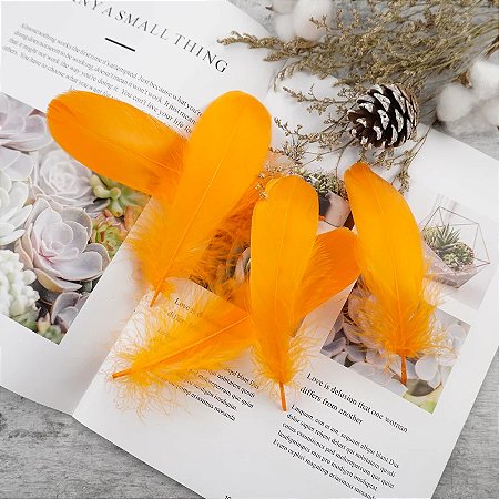 100 Penas de Ganso Macio - Tam : 13-18cm - Pluma De Cisne Natural Cor:LARANJA