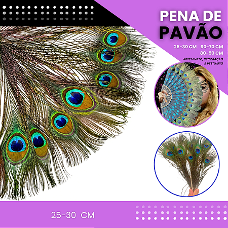 10 Penas de Pavão Natural - Tam: 25-30cm Artesanato, Cocar, Decoração