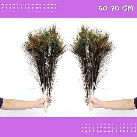 10 Penas de Pavão Natural - Tam: 60-70cm Artesanato, Cocar, Decoração