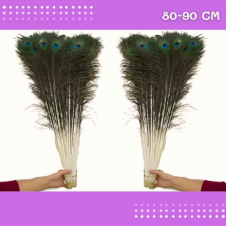 10 Penas de Pavão Natural - Tam: 80-90cm Artesanato, Cocar, Decoração