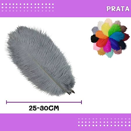 6 Penas de Avestruz Coloridas - 25-30cm COR:PRATA