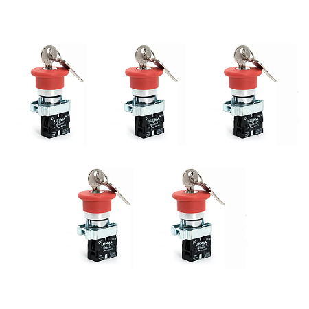KIT 5 LUKMA BOT. LK2-BS142 (COG.VERM.) C/ CH.1NF