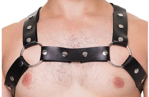 Harness em Couro Sintético- Contém: 1 Arreio - Preto
