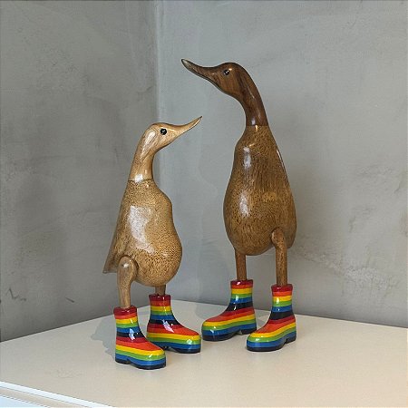 Pato de Botas Arco Íris