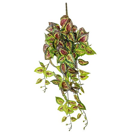 Coleus Pendente
