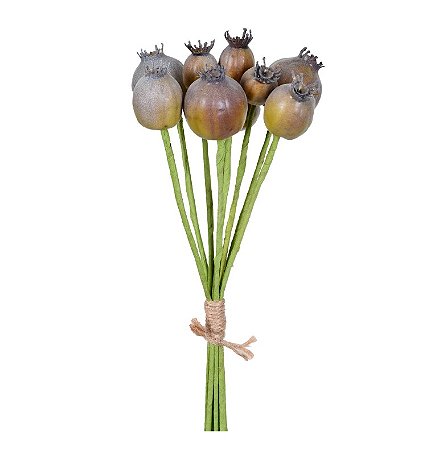Buquê de Mini Romã Marrom