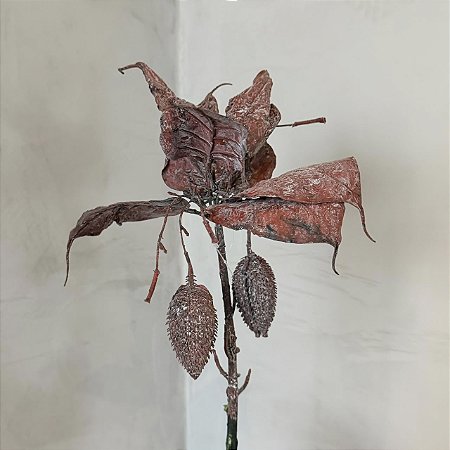 Haste de Graviola Rosa