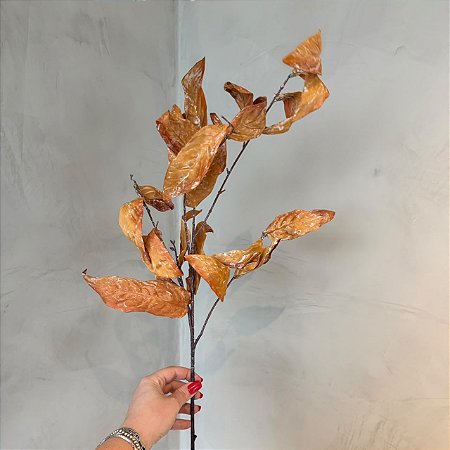 Haste de Folha de Protea Laranja
