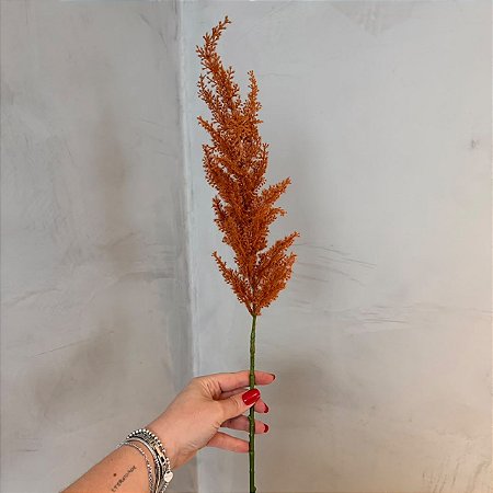 Haste de Pampas Terracota