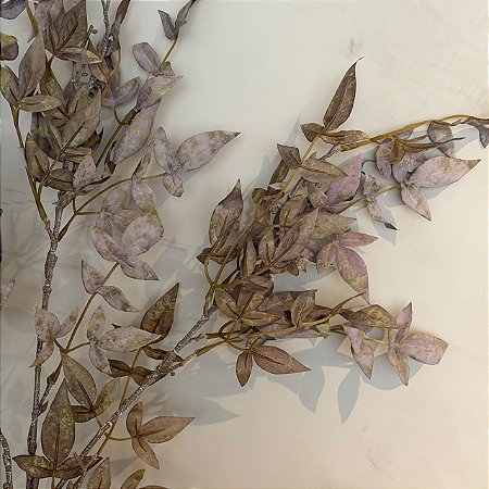 Haste de Nandina