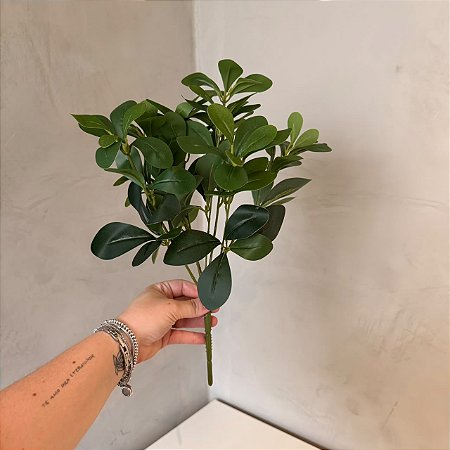 Buquê de Cheflera