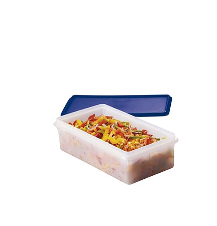 Tupperware Maxi Caixa 2,5 Litros
