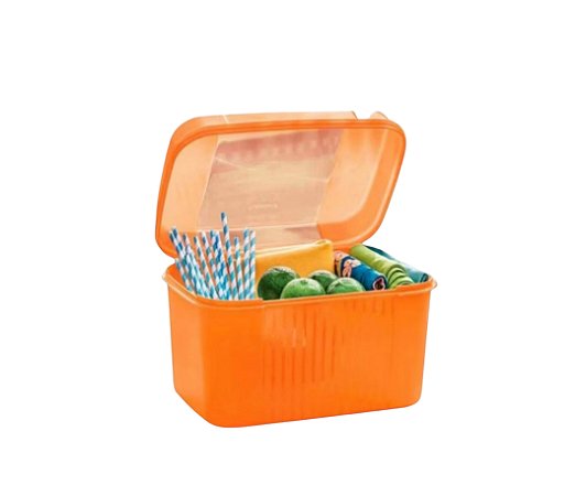 Tupperware Caixa Visual Box 4,3L