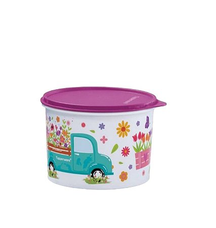 Tupperware Caixa 2,4L
