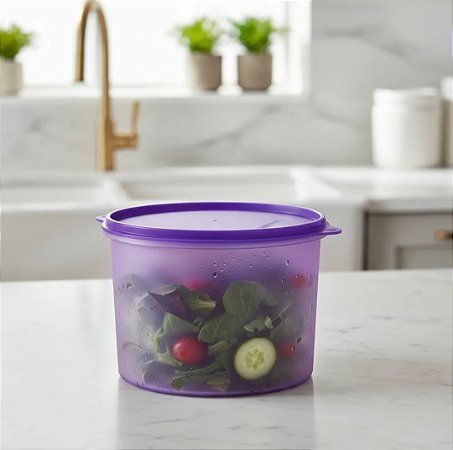 Tupperware Caixa 2,4L