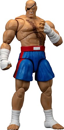 Sagat Jada Toys